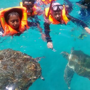 Eco Day Trip (Child - Age 8 to 12)
